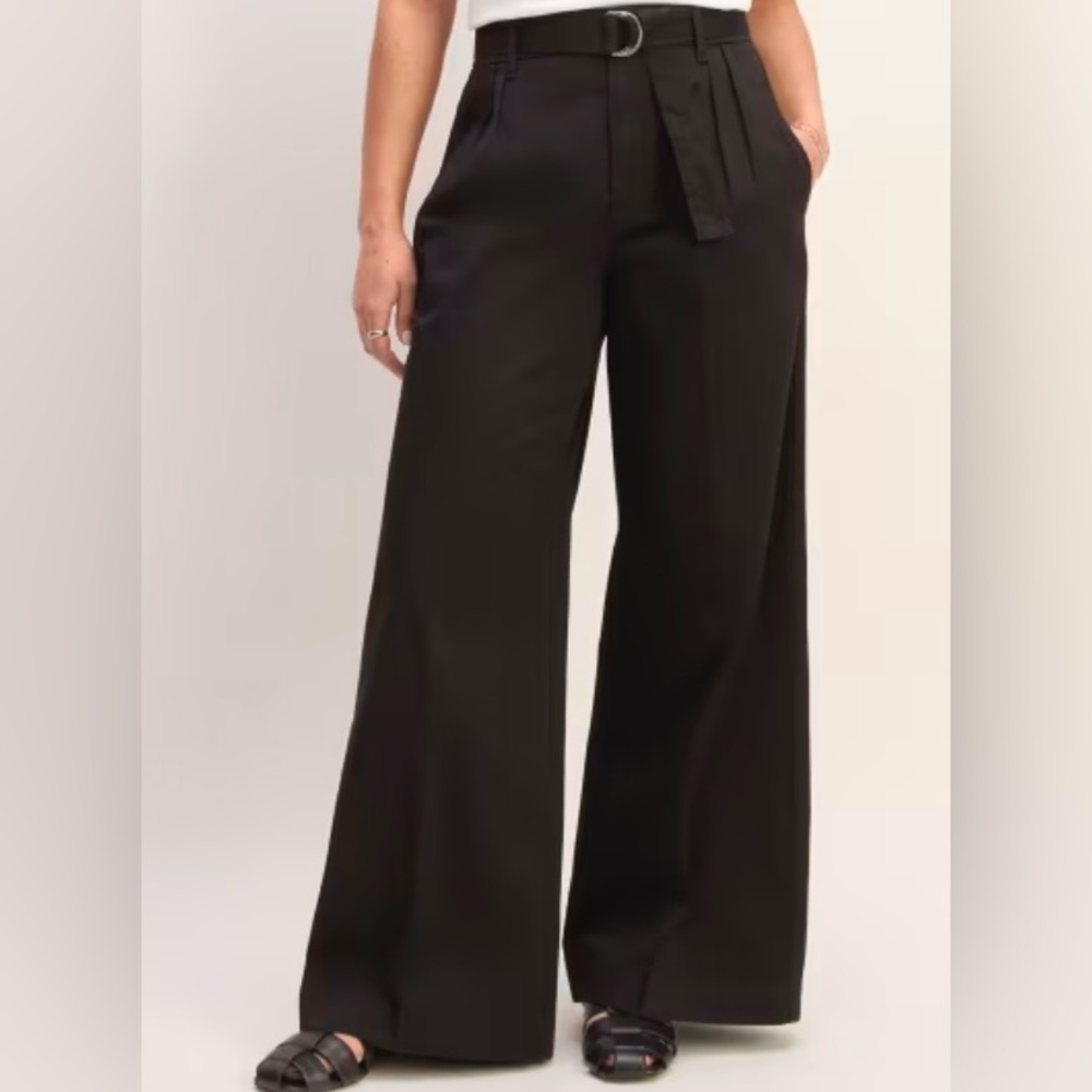 Everlane The Pleated Wide Leg Chino